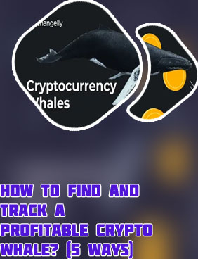 Crypto whale watcher