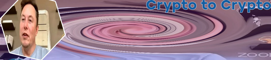 Elon crypto