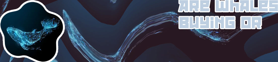 Ethereum nft whale
