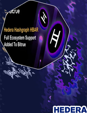 Hedera cryptocurrency