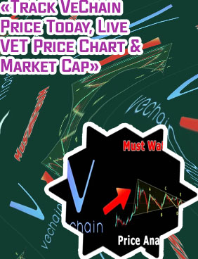 Price of vet crypto
